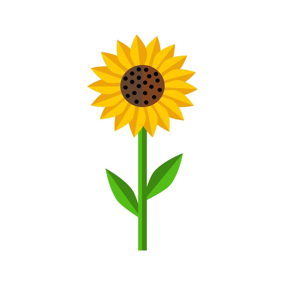 Sun flower flat icon design on white background. vector