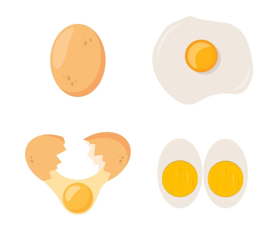 Eggs set isolated on white background. Set of fried, boiled, half, sliced eggs. Eggs in various forms. vector