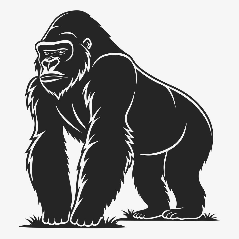 Gorilla standing tall black and white illustration graphic art vector