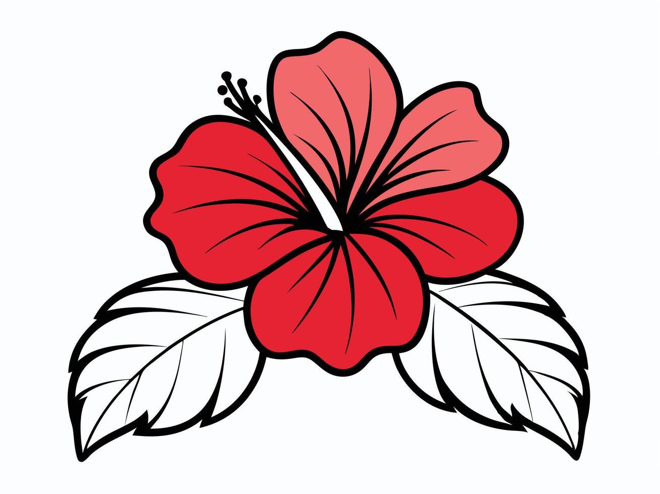 Vibrant illustration of a red hibiscus flower with detailed leaves on a white background vector