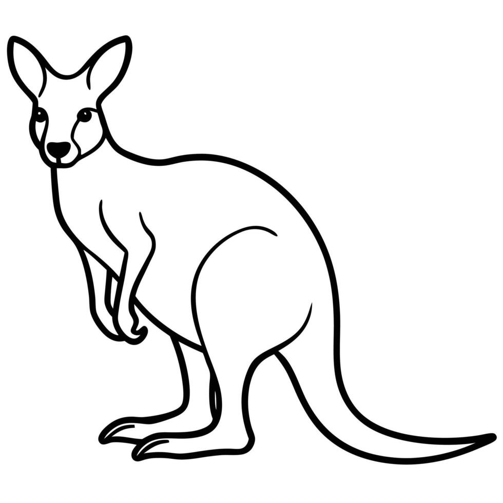 Minimalist kangaroo outline illustration standing with distinctive tail and ears design vector