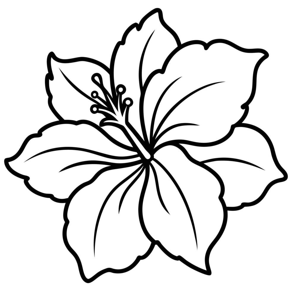 Simple black and white outlined hibiscus flower blossom against plain white background vector