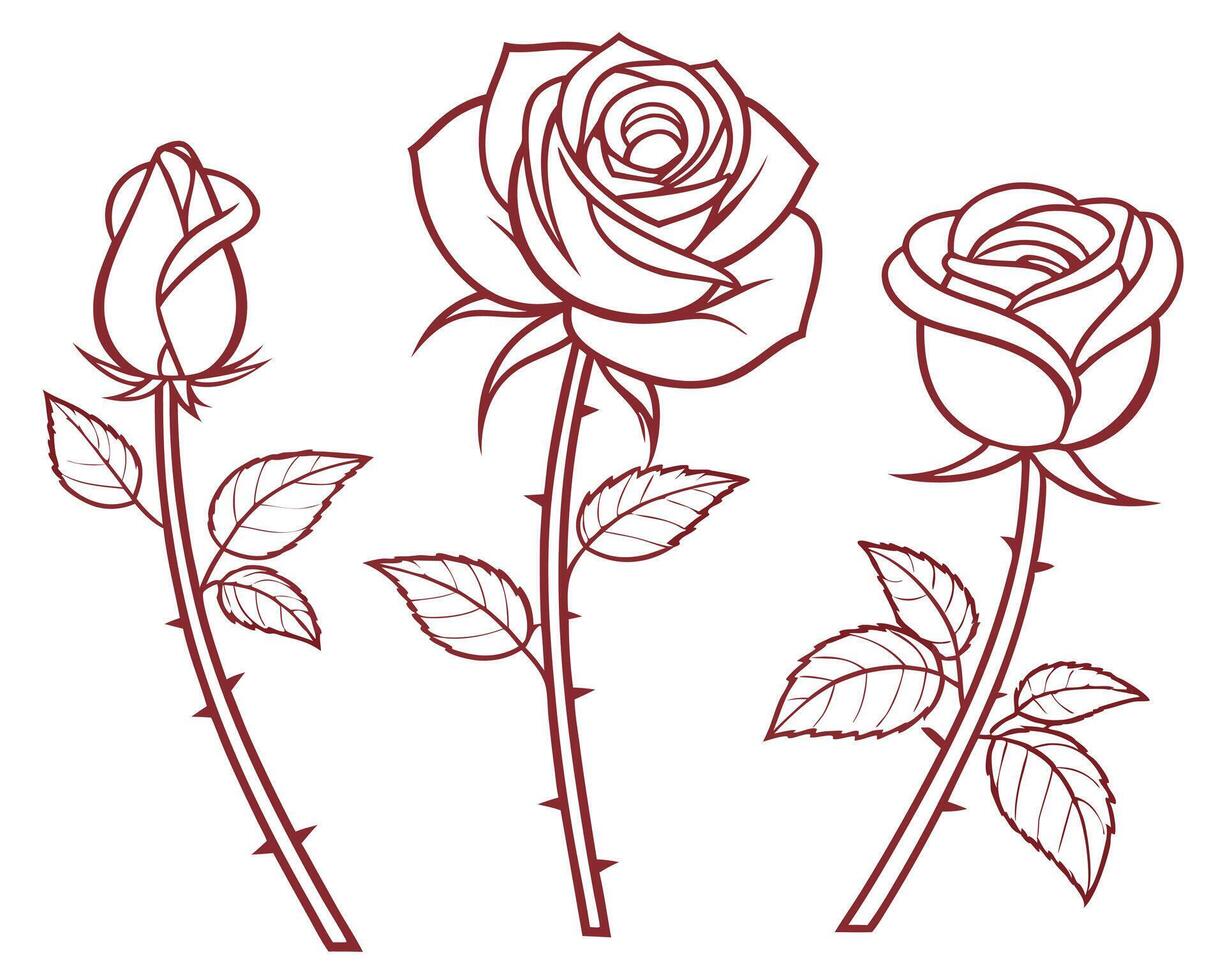 Elegant outlines of three rose flowers at different stages of blooming with detailed leaves vector