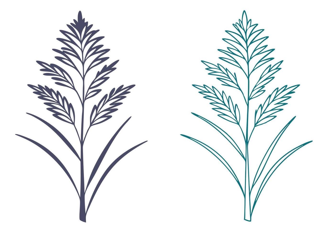 Minimalist phragmites plant illustration in two colors elegant botanical design elements vector