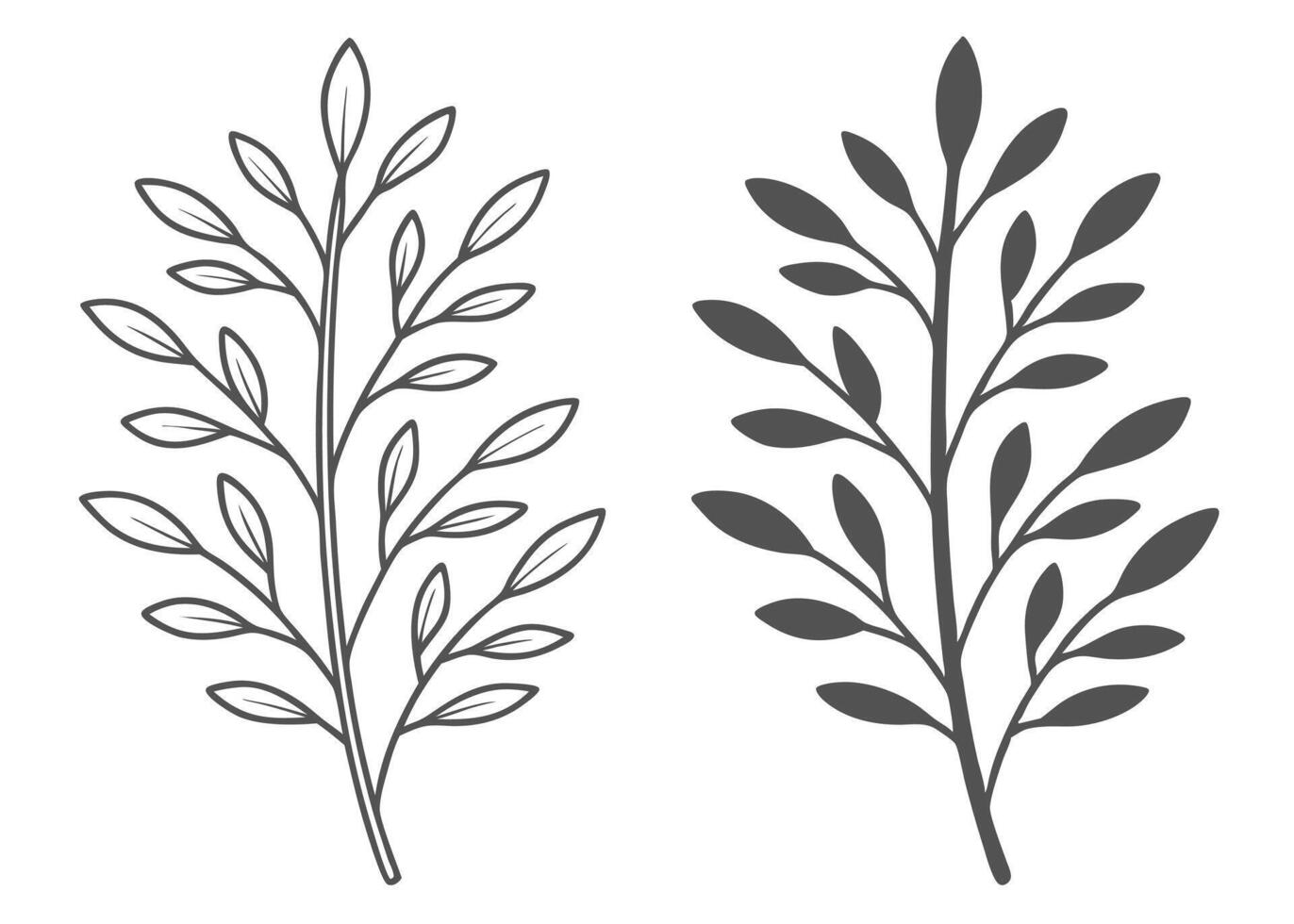 Elegant branch with leaves in monochrome botanical illustration set vector
