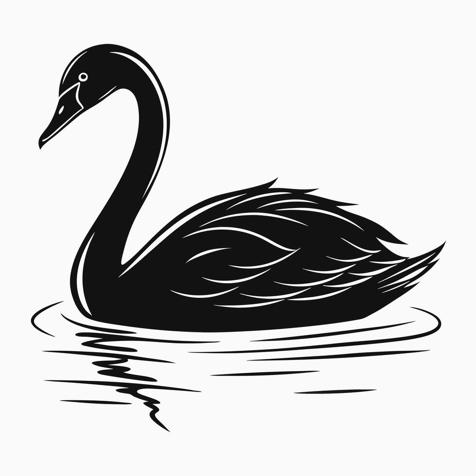 Elegant black swan swimming silhouette illustration graphic isolated on white vector