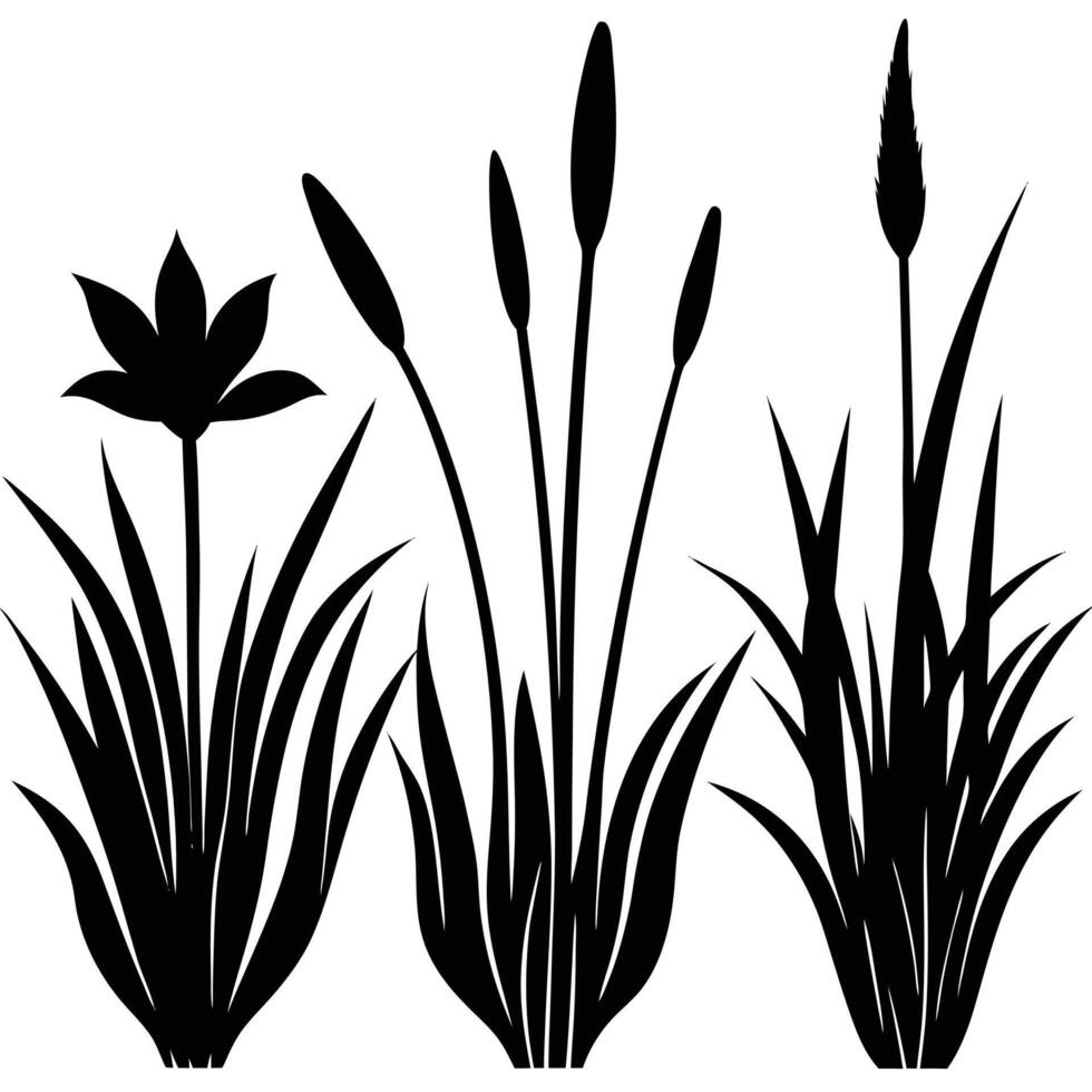 Black silhouette illustration of cattails flower and grass plants vector