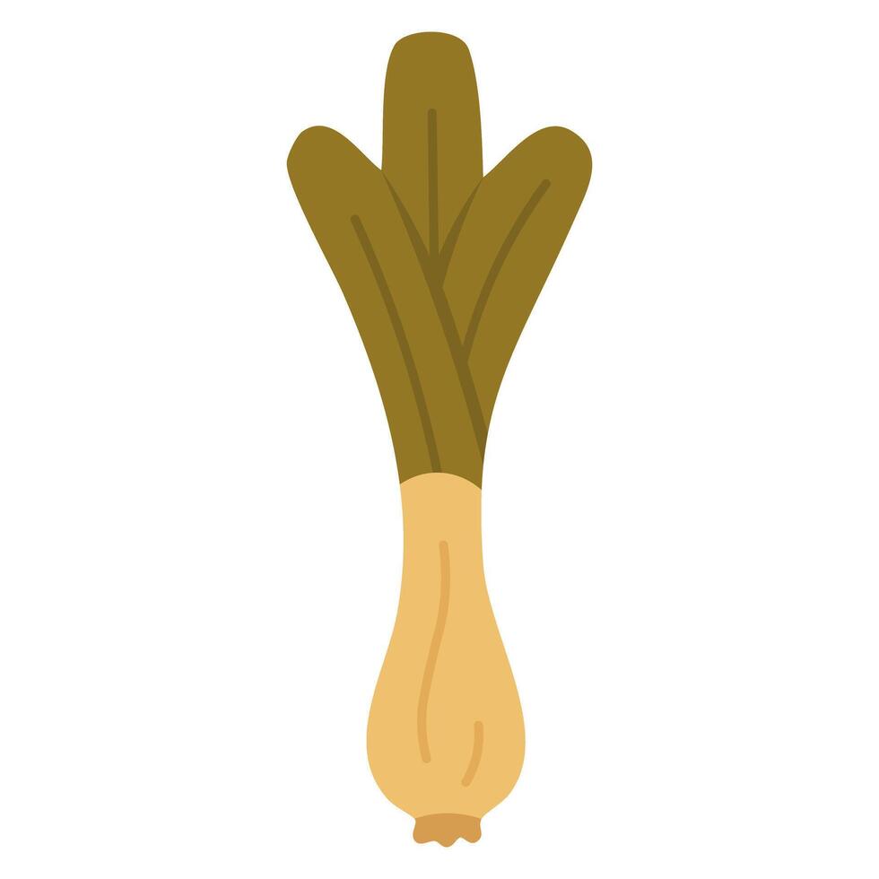 Flat illustration of a fresh leek with green leaves, perfect for harvest and garden themes. vector