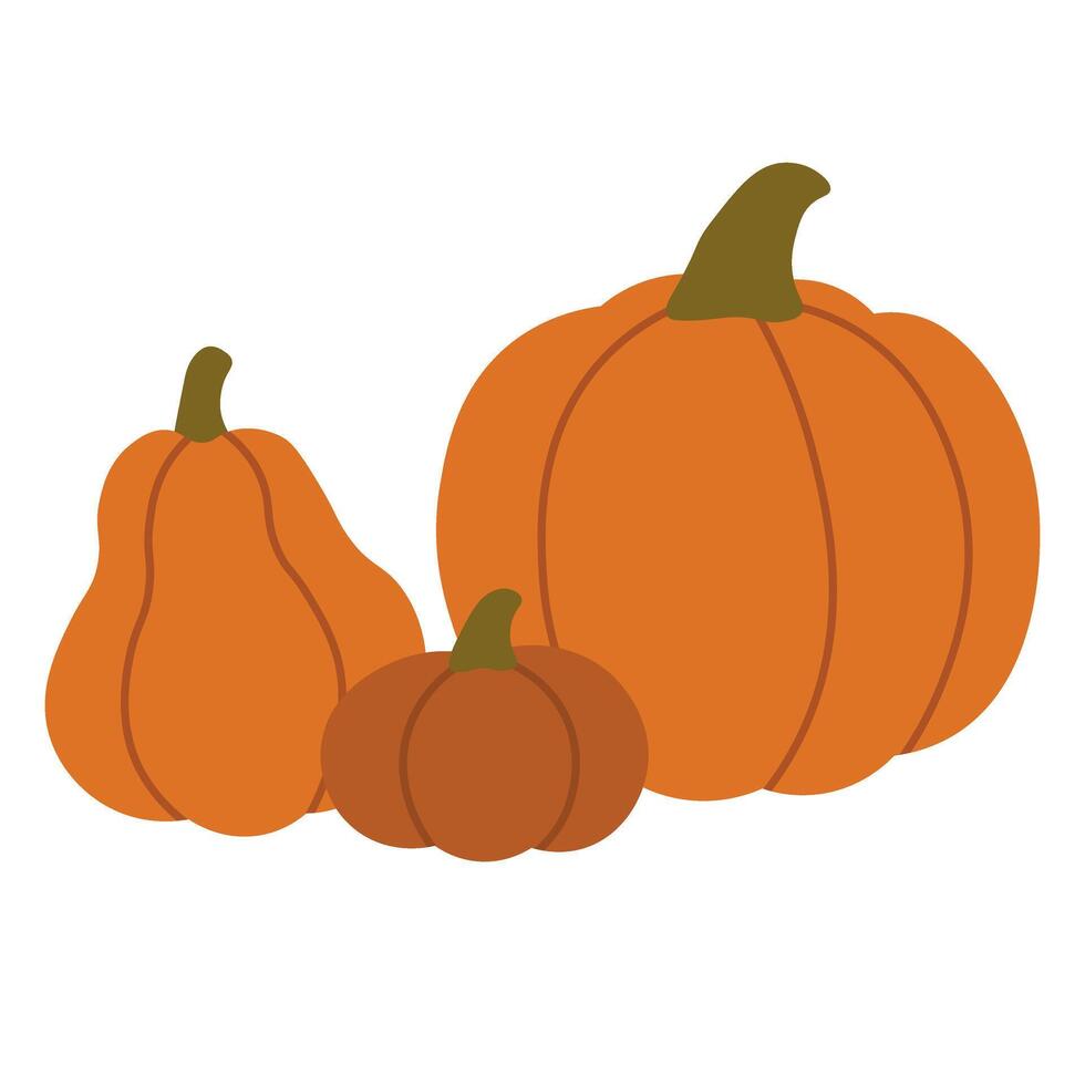 Three orange pumpkins of different shapes and sizes, flat illustration for harvest design. vector