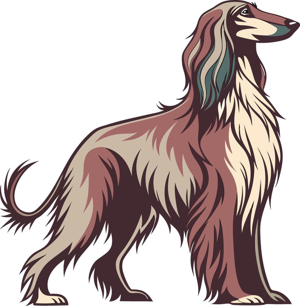 Elegant Afghan Hound Dog Available on EPS File vector