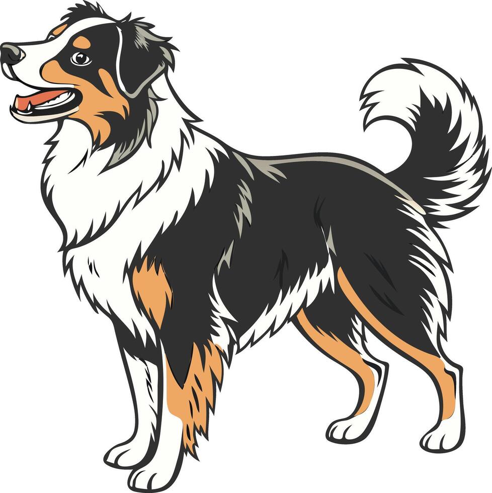 Energetic Australian Shepherd Dog in Action Pose Available on EPS File vector