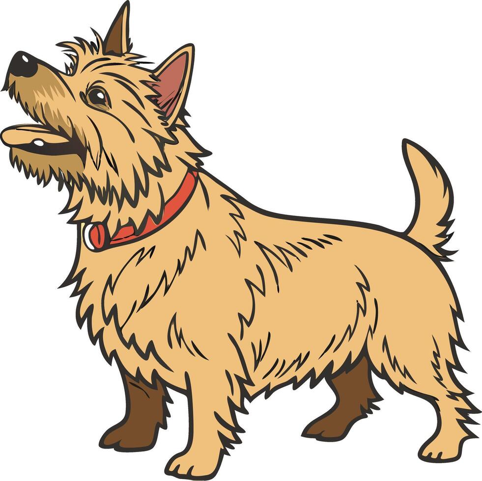 Adorable Australian Terrier Standing Proud Available on EPS File vector