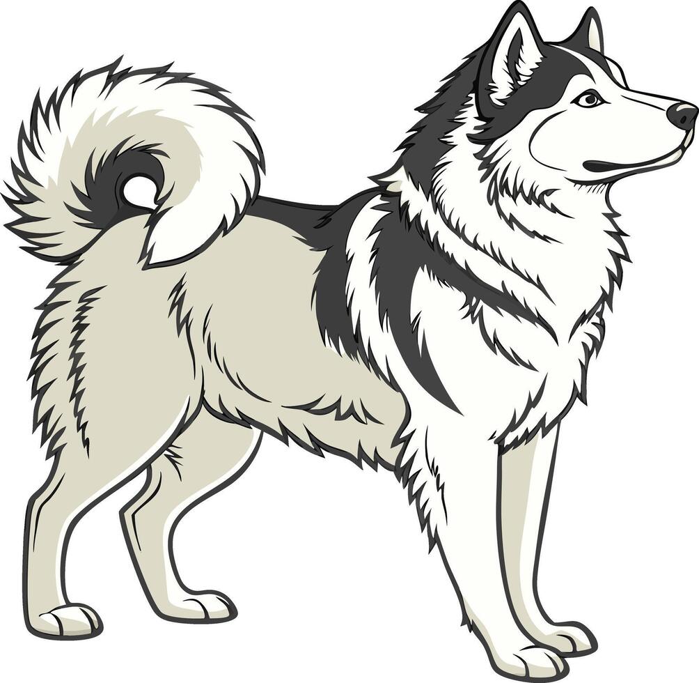 Majestic Alaskan Malamute Dog with Fluffy Coat Available on EPS File vector