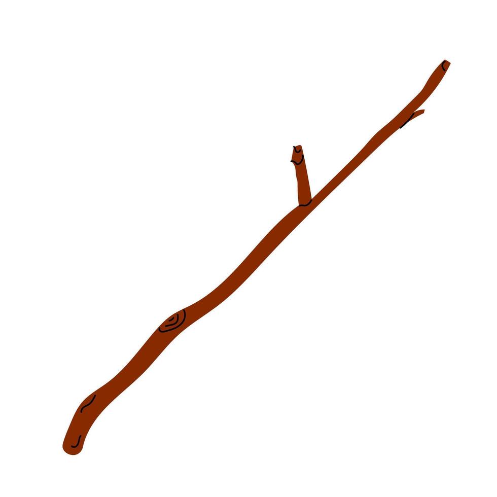 Dry wooden tree branch isolated on white backgound. Dry tree branches illustration. vector