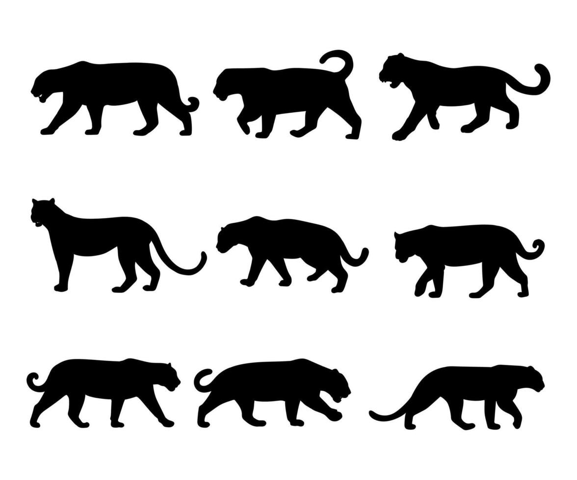 Collection Of Animal Tiger Silhouette on white background vector