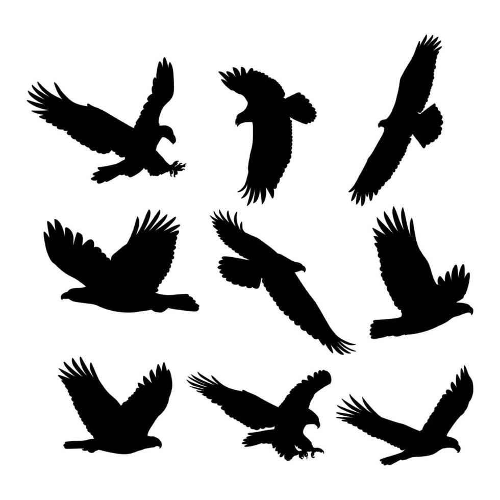 silhouette eagle bird collection simple design vector