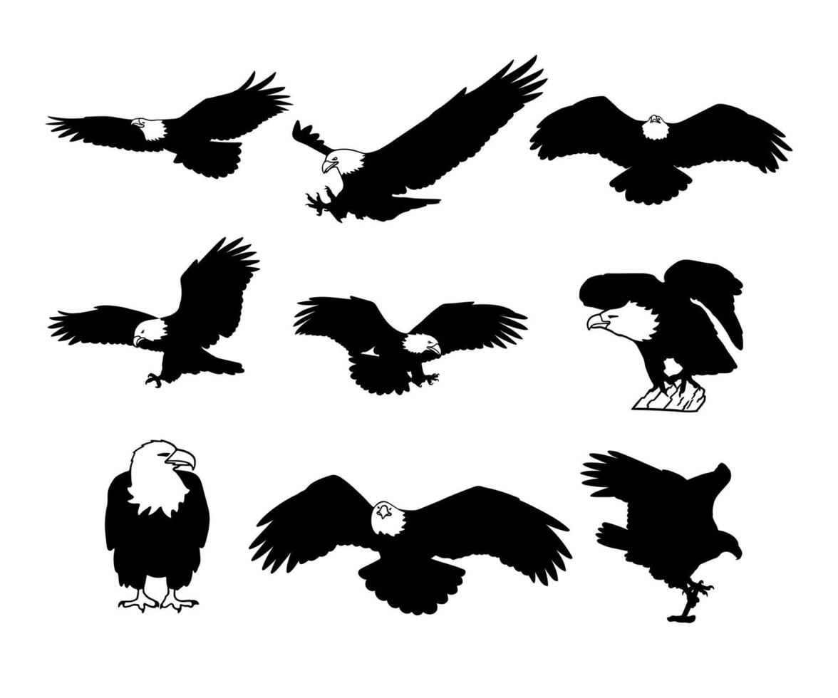 silhouette bird eagle collection set on white background vector