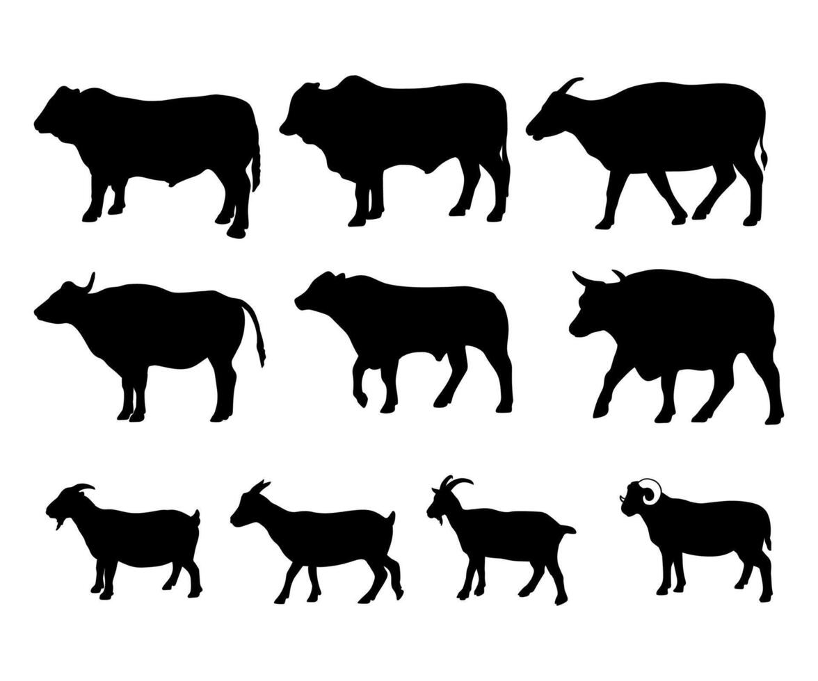 silhouette of sacrificial animals goat and cow on white background vector