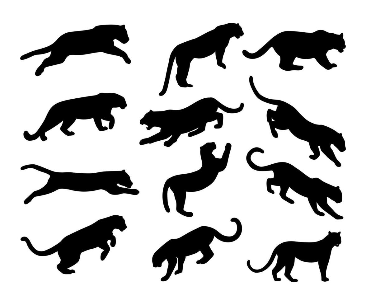 Collection Of Animal jaguar Silhouette set vector