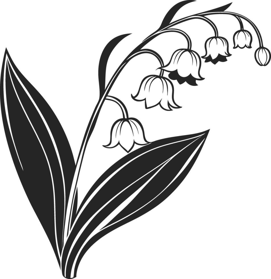 Black and white lily of the valley illustration vector
