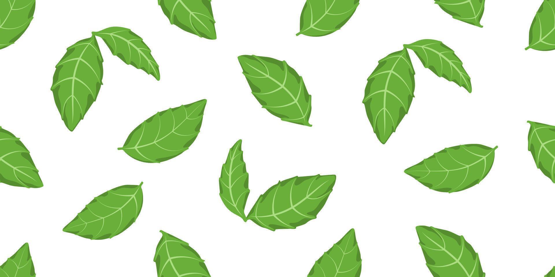 Green salad leaves seamless pattern illustration. Different basil leaf repeated ornament. Design for textil, fabric, background and vegetarian packaging. Eco backdrop. vector