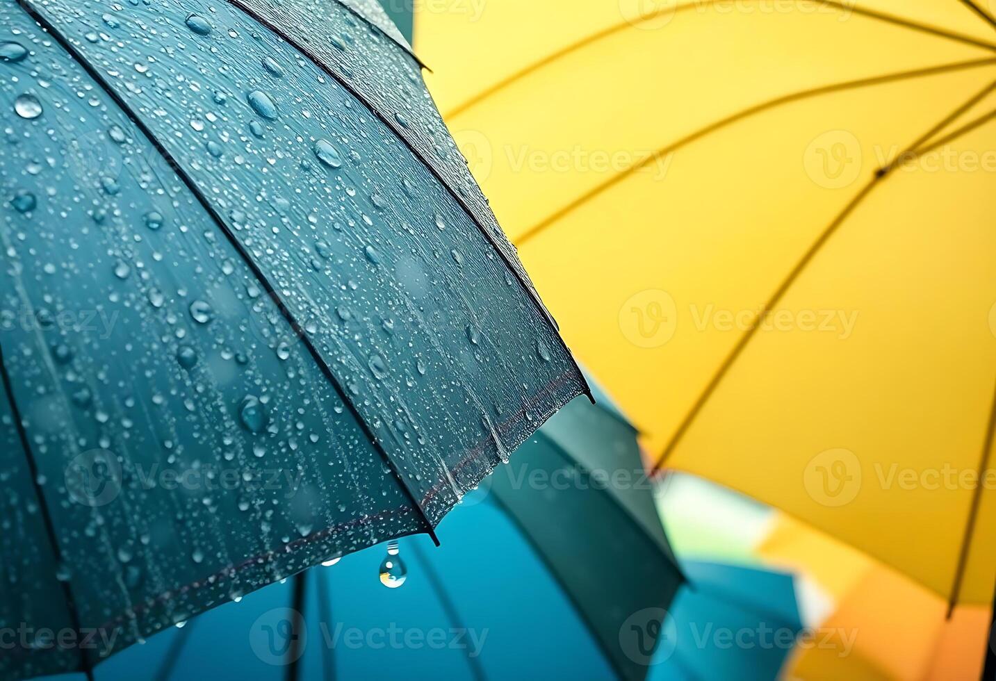 couple of umbrellas that are next to each other photo