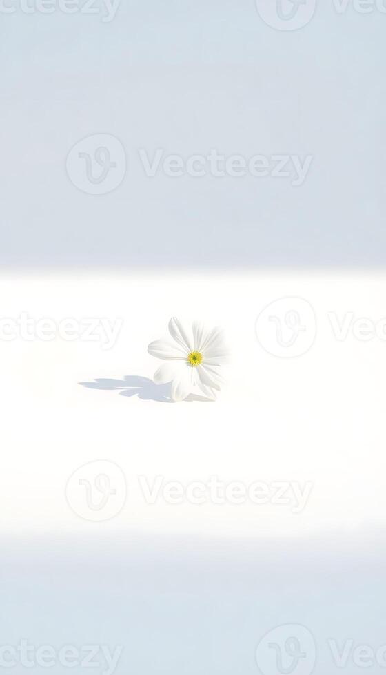 single white flower sitting on top of a white surface photo
