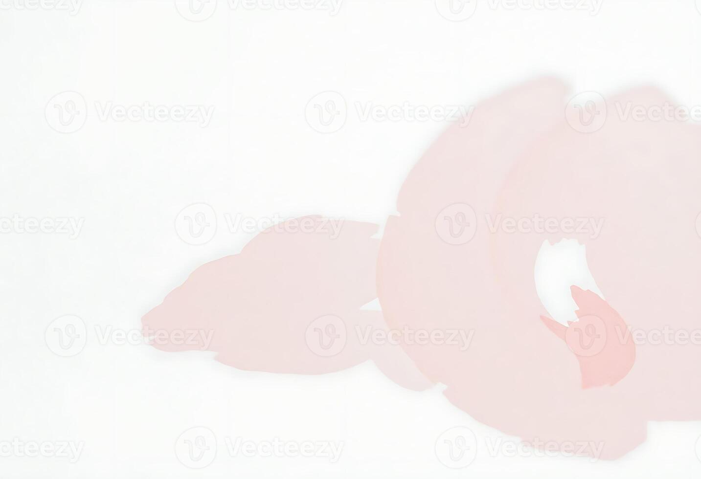 close up of a pink flower on a white background photo