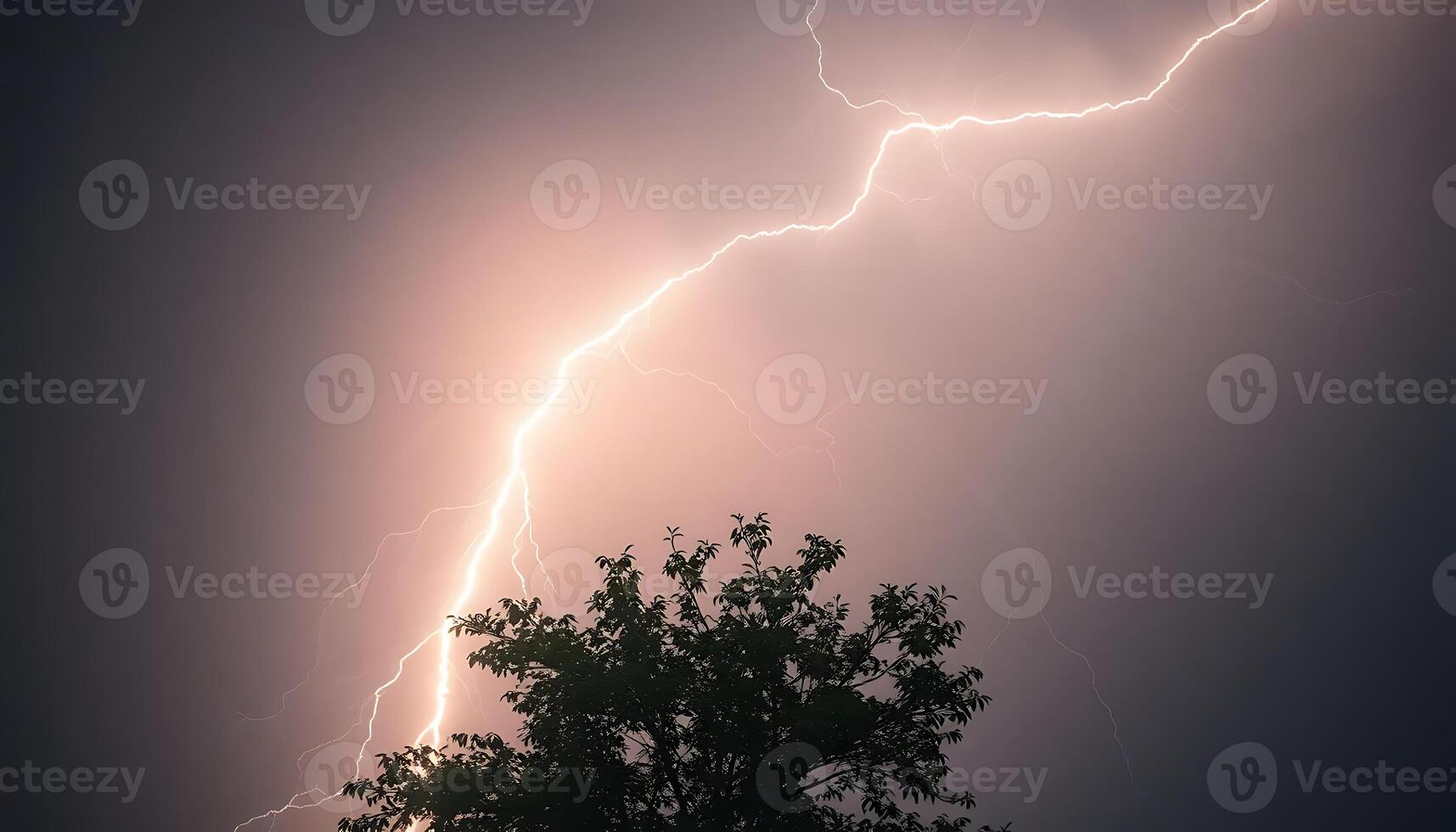 lightning bolt hitting over a tree in a dark sky photo
