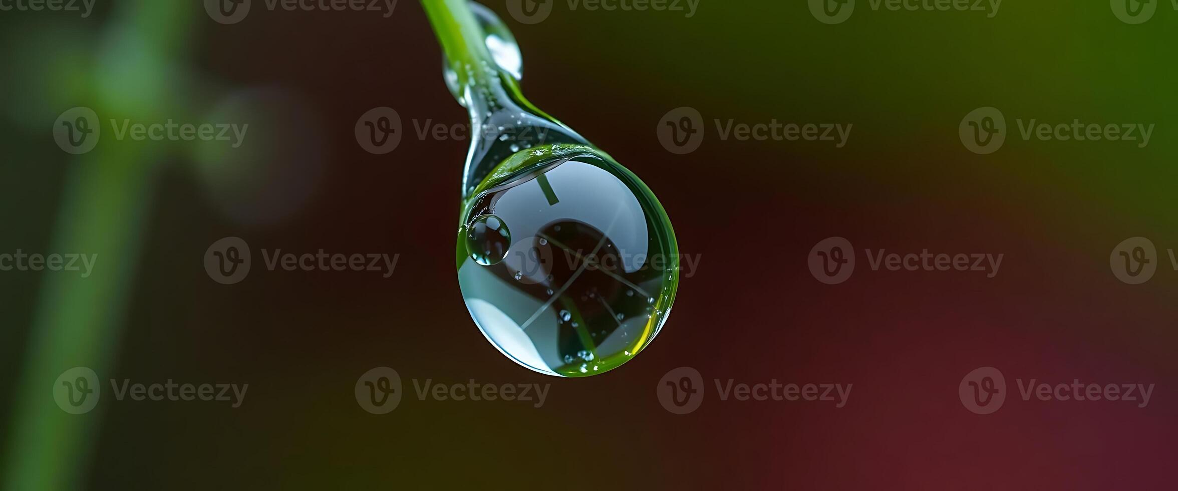 drop of water hanging from a blade of grass photo