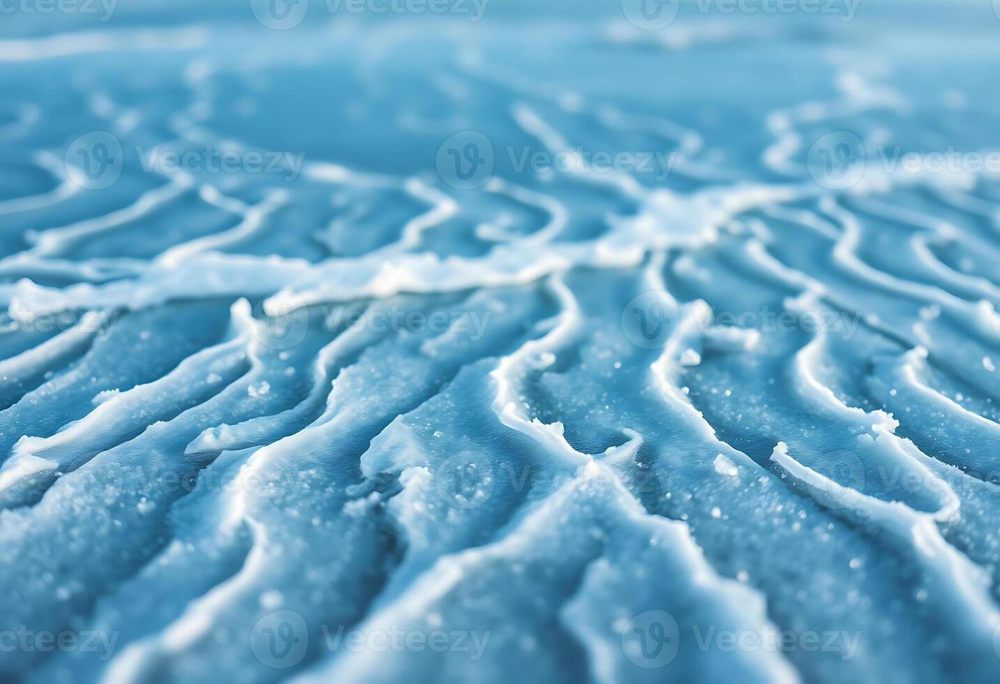 close up view of a snow covered ground photo