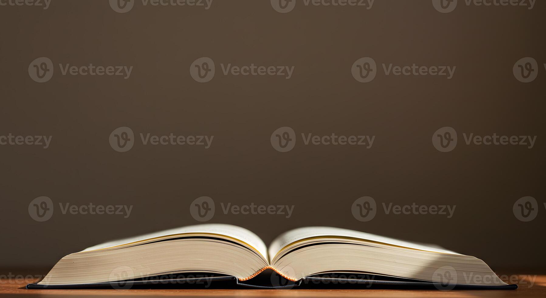 An open book on a table with a light shining on it photo