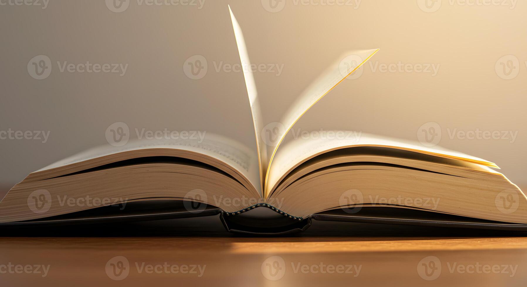 An open book with a light shining on it photo
