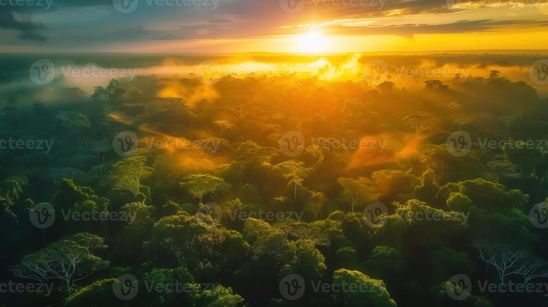 Stunning aerial shot of a vibrant rainforest bathed in golden sunlight at sunrise. photo
