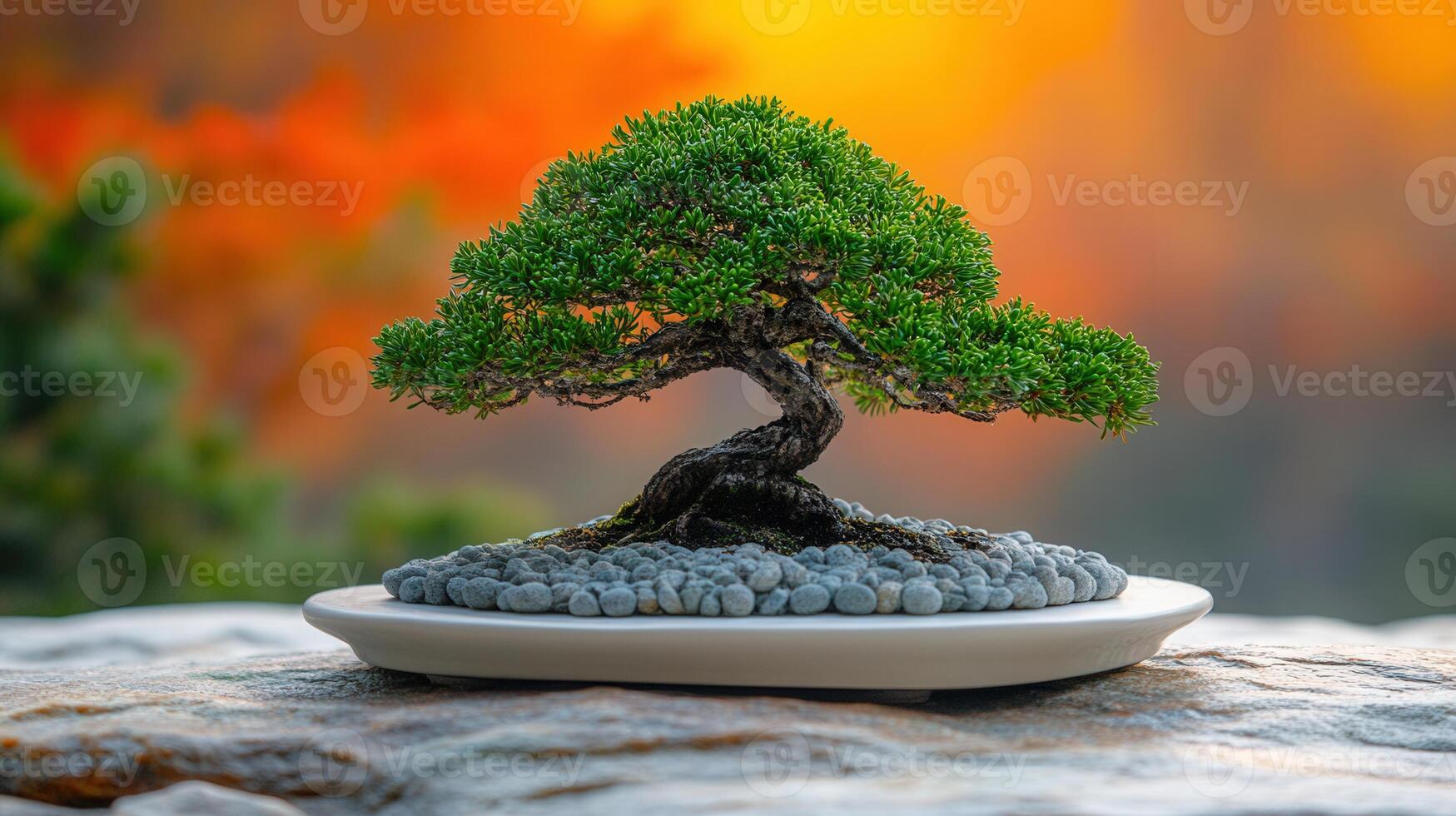 A serene bonsai tree showcasing its delicate form, captured against a vibrant blurred background. photo