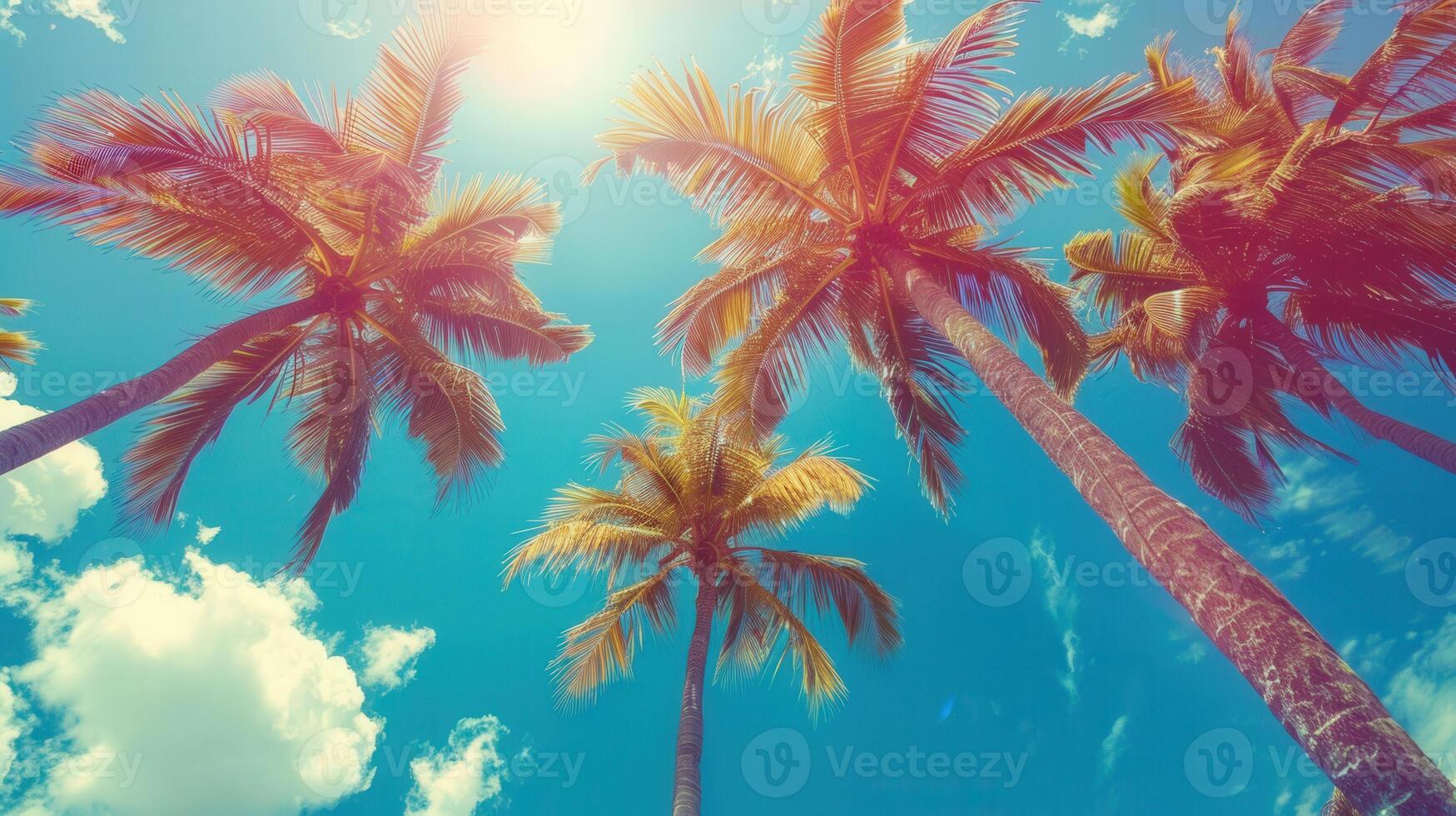 Looking up at the vibrant palm trees against a bright, cloud-filled, blue sky. photo