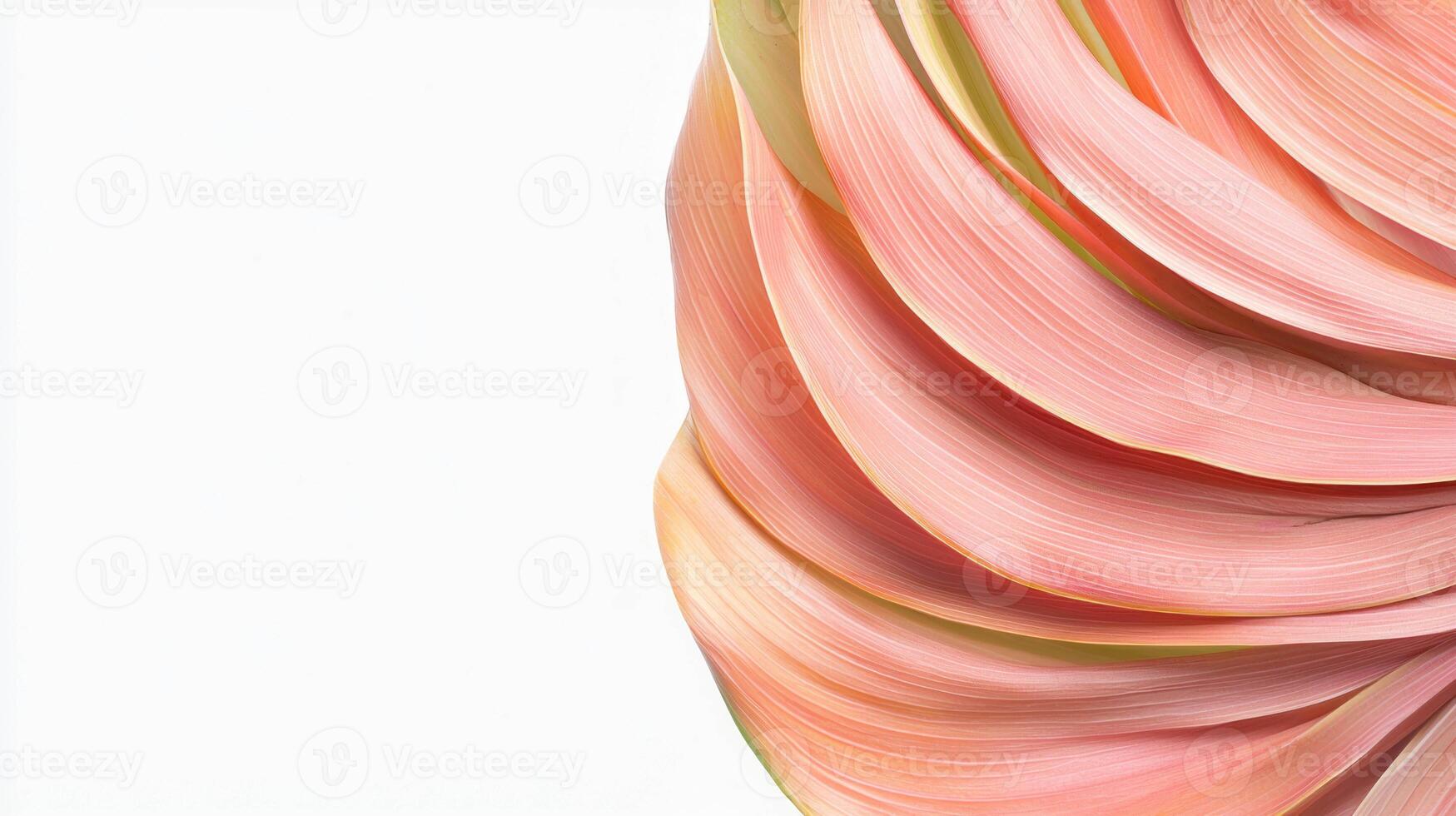 Close-up of textured prayer plant leaf with artistic fold pattern for botanical design photo