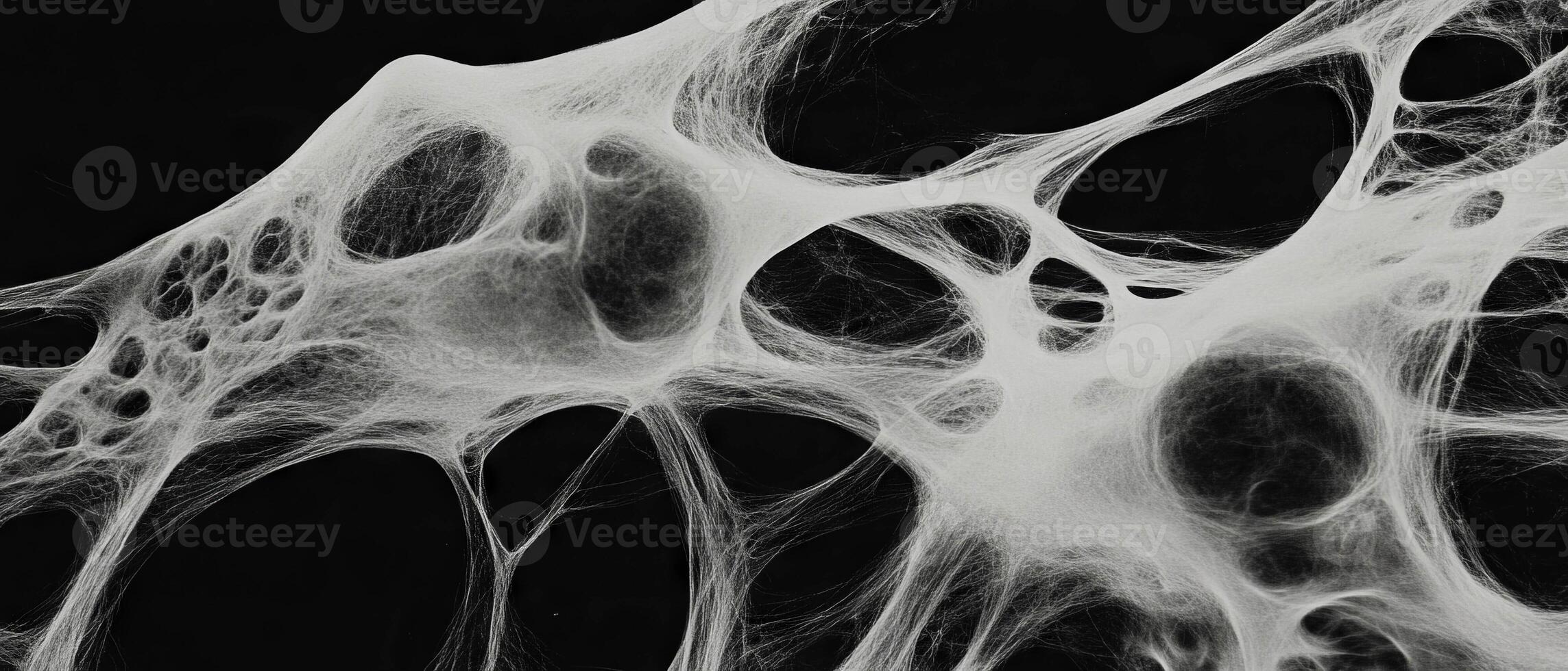 Intricate web-like pattern displaying interconnected textures and structures photo