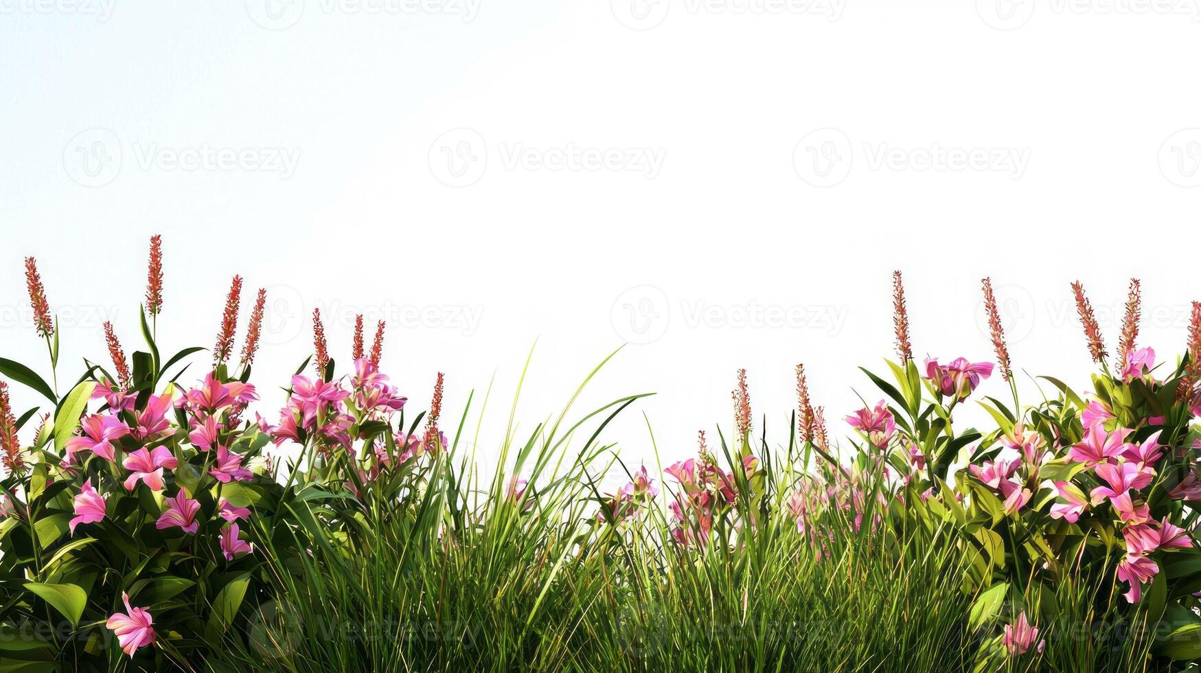 Realistic orchid field scene with vibrant natural blooms for botanical design photo