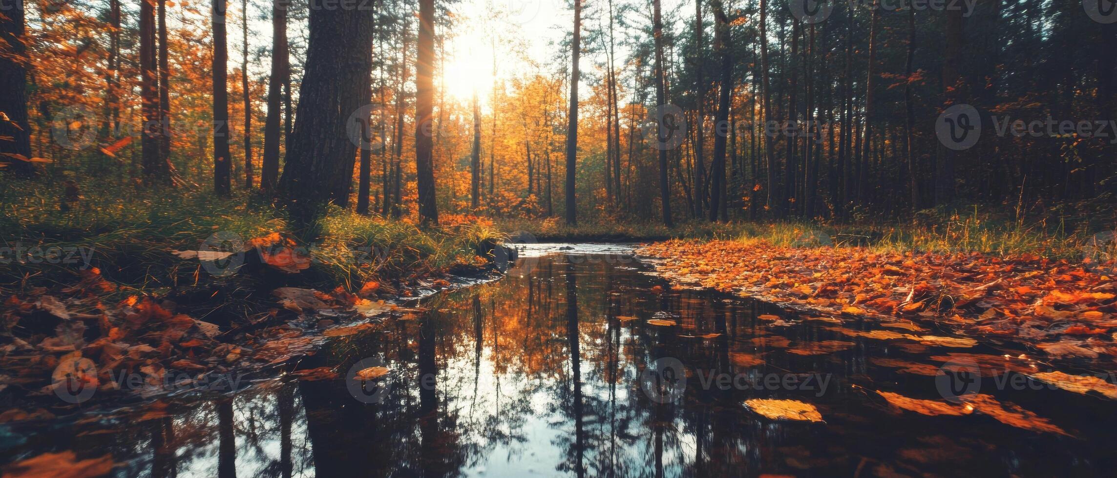 Colorful autumn foliage reflecting on a tranquil river in a serene forest photo