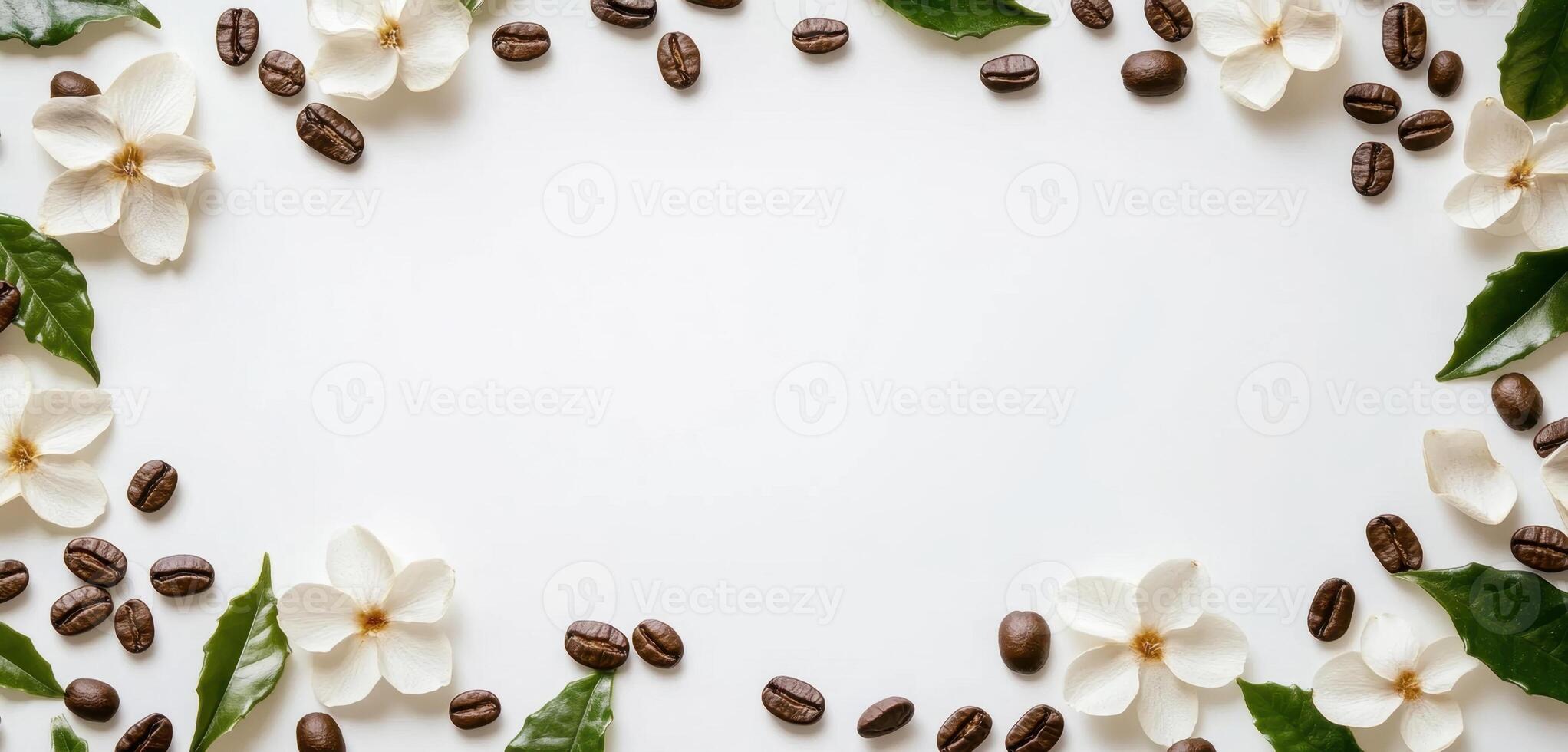 Elegant Coffee Beans and White Flowers Frame on a White Background for Presentations photo