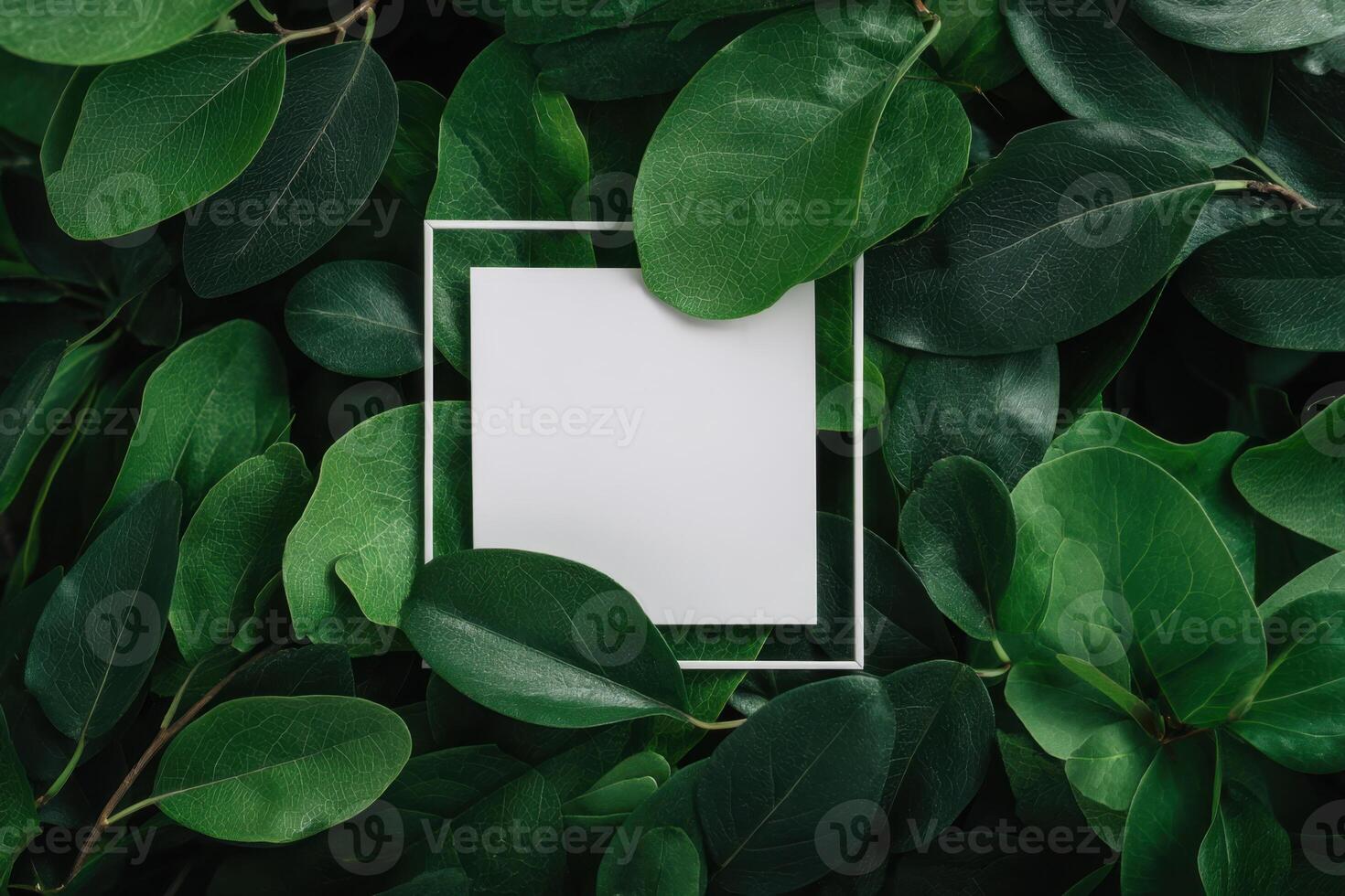 Green leaves with white square frame photo