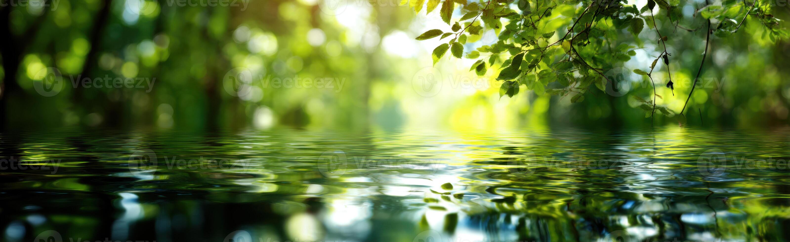 Green water with leaves reflected in it photo