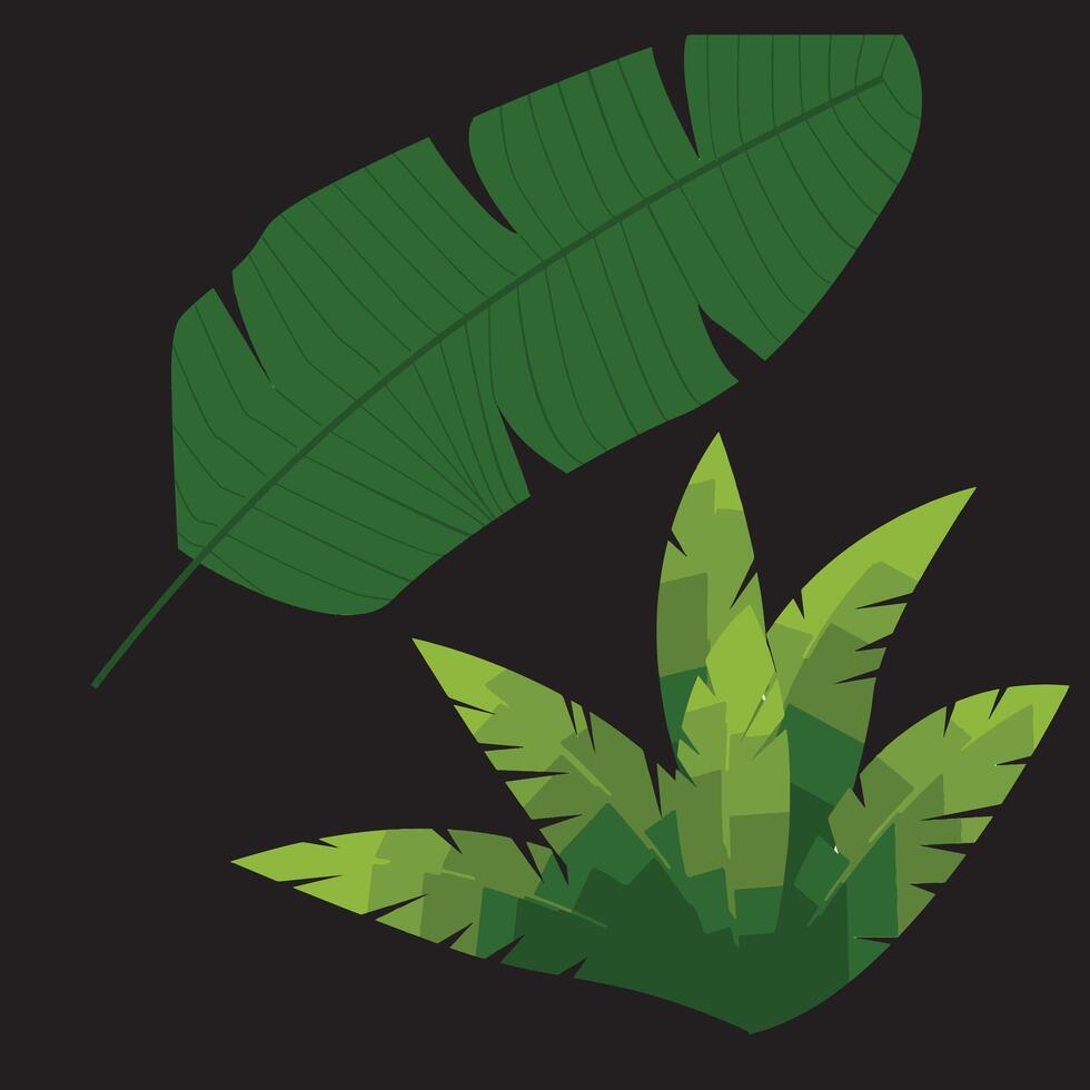 A green plant and a leaf on a black background vector