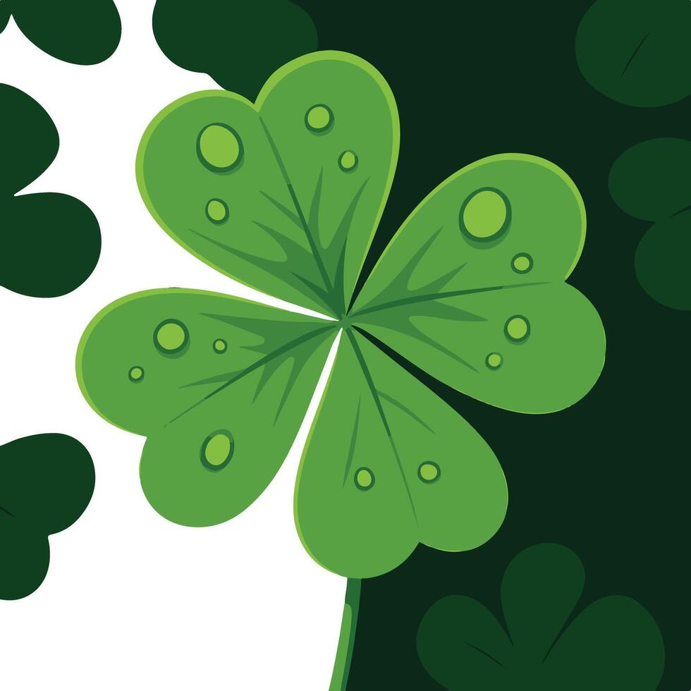 Four leaf clover with green leaves on a white background vector