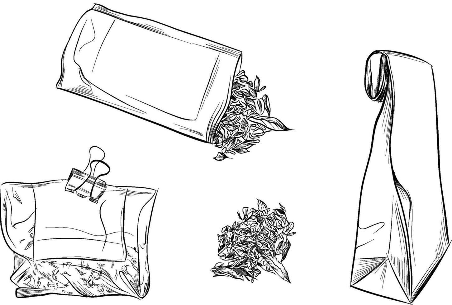 Tea bags with dried herbs and packages vector