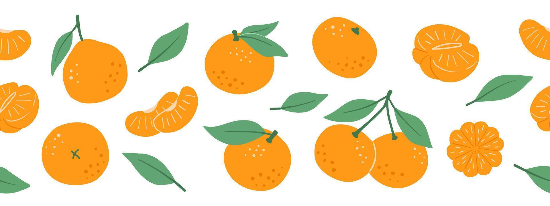 Seamless border with tangerine and leaves isolated on white background, flat design vector