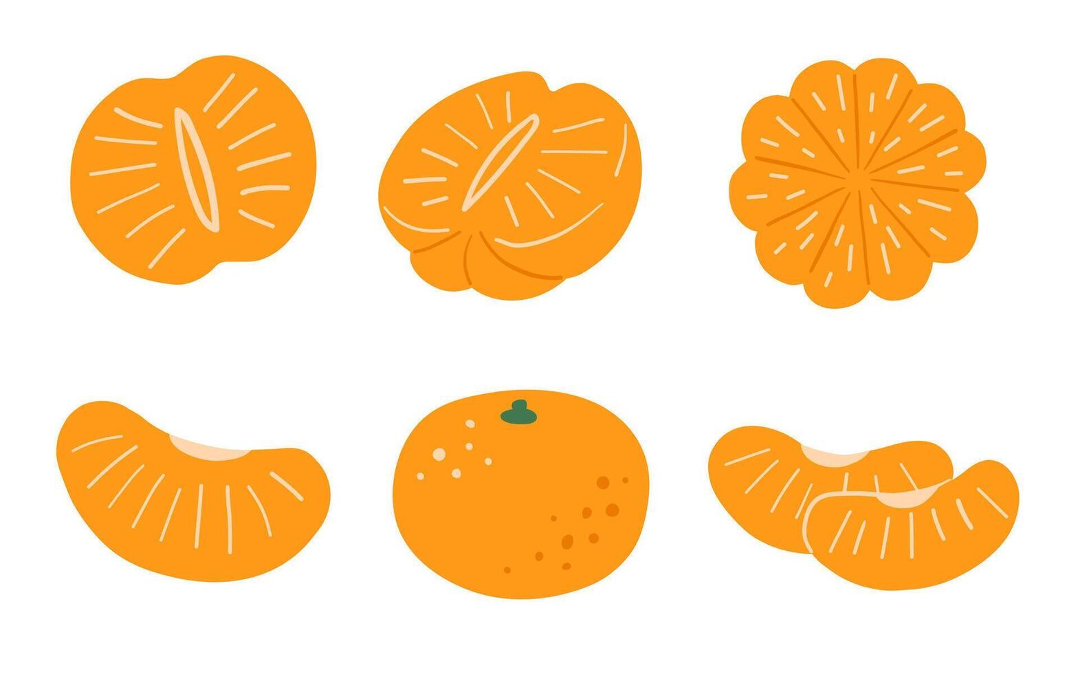 Tangerine, food flat illustrations set, abstract fruit art isolated on white background vector