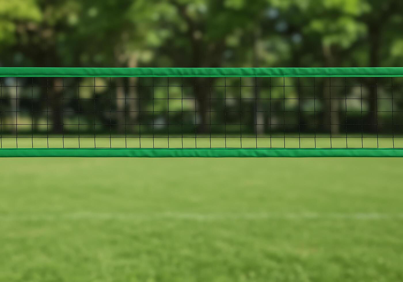 A green net is in the middle of a field photo