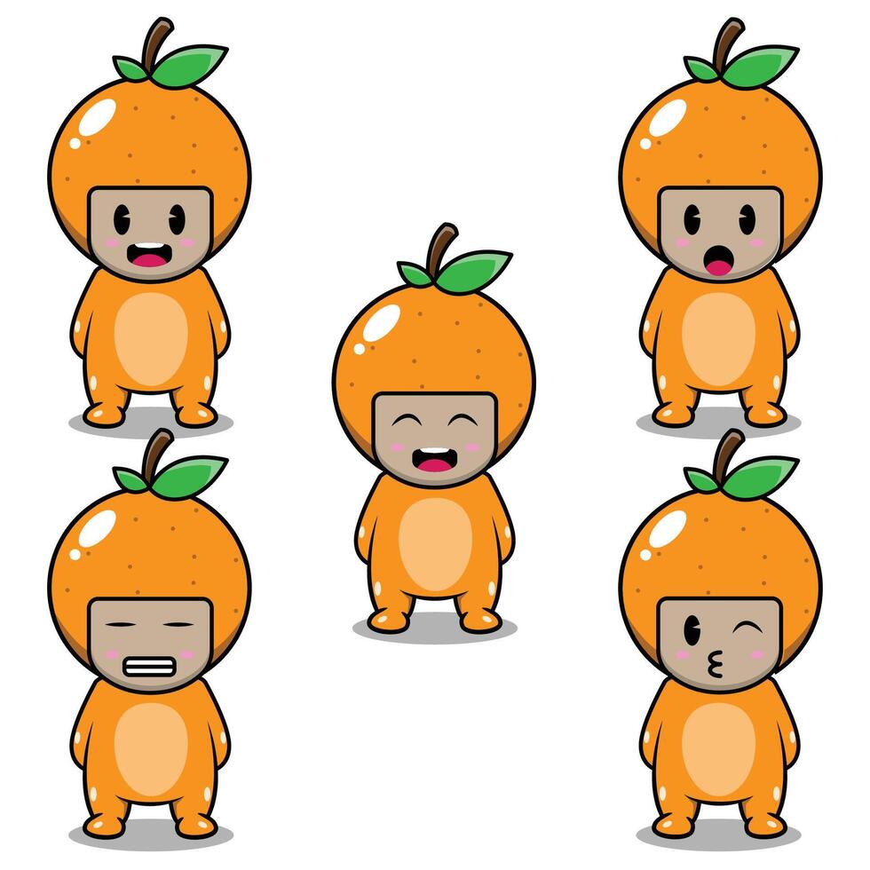 Orange Fruit Emoji vector